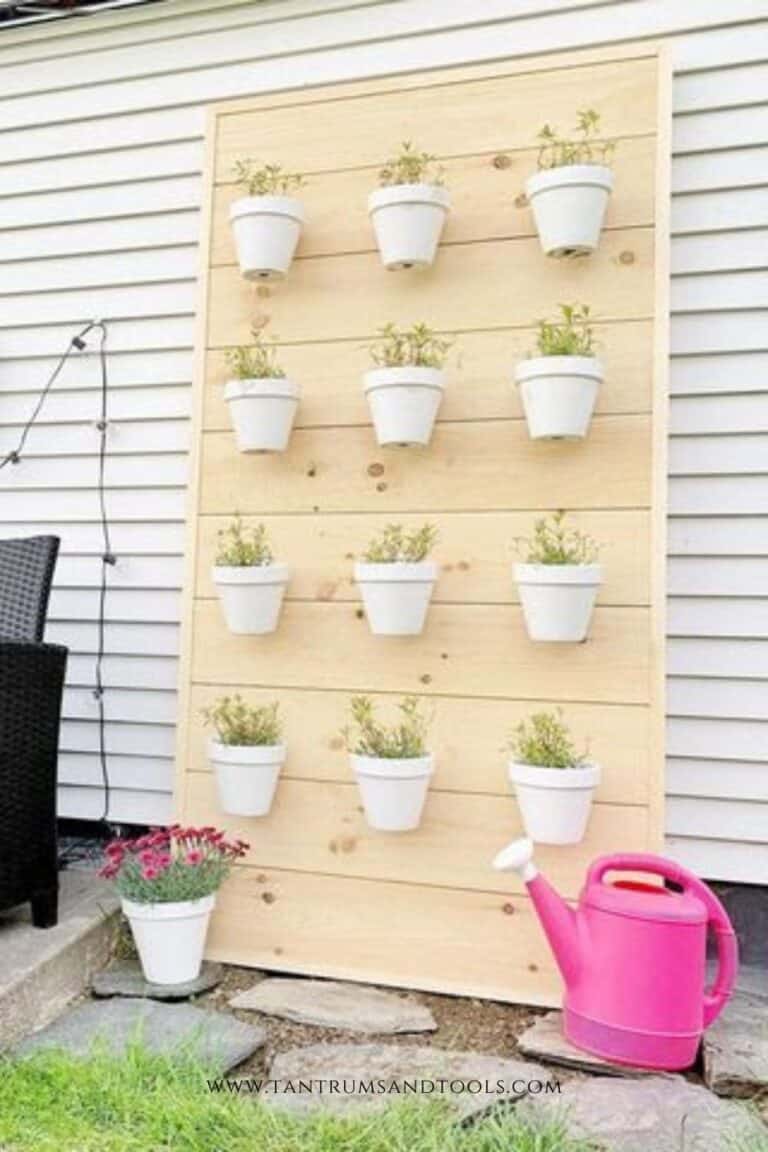 Making a DIY Plant Wall In 5 Easy Steps