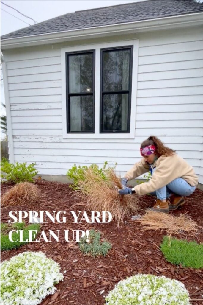 spring yard clean up